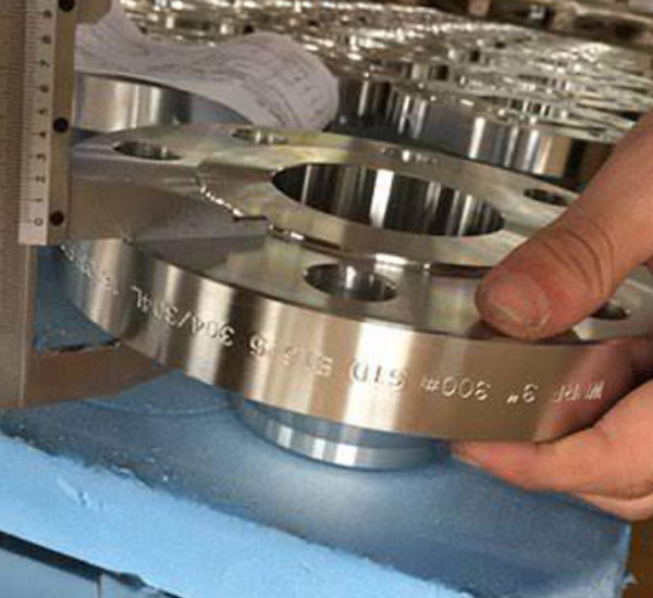 Stainless Steel Flanges